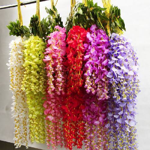 12pcs of Wisteria Plants for Decoration. @HOG - Home Office Garden Online Marketplace
