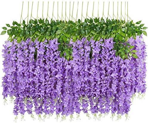 12pcs of Wisteria Plants for Decoration. @HOG - Home Office Garden Online Marketplace