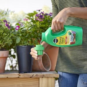 Miracle Grow Pour And Feed Home Office Garden | HOG-HomeOfficeGarden | online marketplace