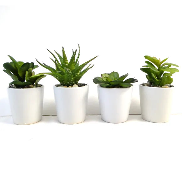 Artificial Succulent In Ceramic Pot 10cm Home Office Garden | HOG-HomeOfficeGarden | online marketplace