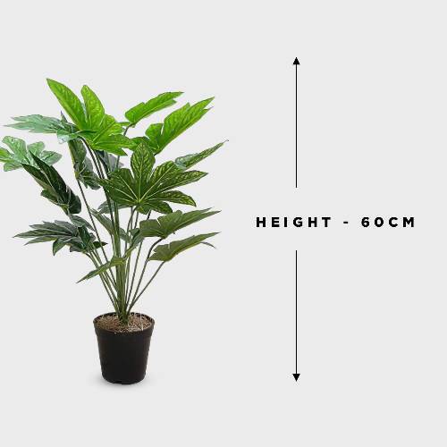 60cm Height Artificial Mini Potted Plants Home Office Garden | HOG-HomeOfficeGarden | online marketplace