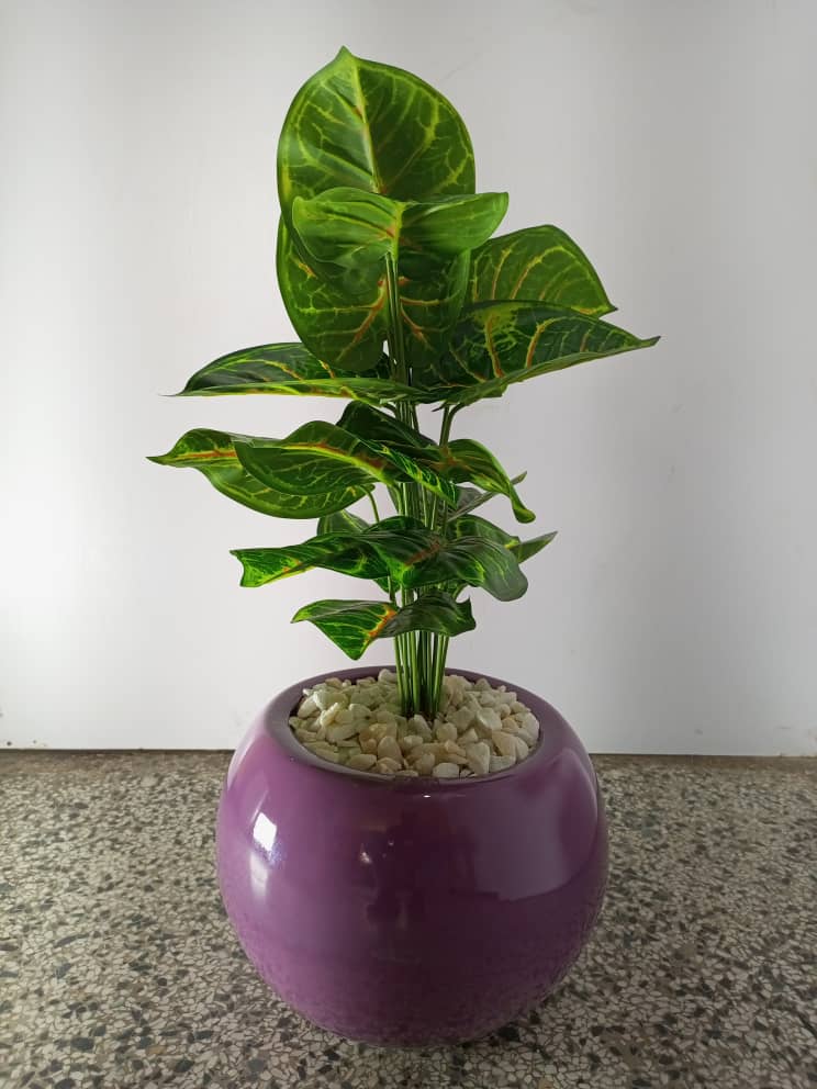 60cm purple fibre glass. Mini potted plant. Home Office Garden | HOG-HomeOfficeGarden | online marketplace