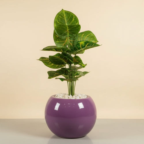 60cm Ball Shape Fibre Glass. @HOG - Home Office Garden Online Marketplace