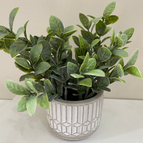 Artificial Leaves in Cement Pot @HOG - Home Office Garden Online Marketplace