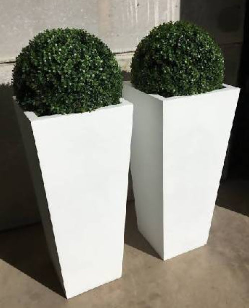 Ball Boxwood + Fiber pot Home Office Garden | HOG-HomeOfficeGarden | online marketplace