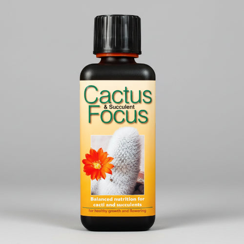Cactus Focus 300ml @HOG - Home Office Garden Online Marketplace