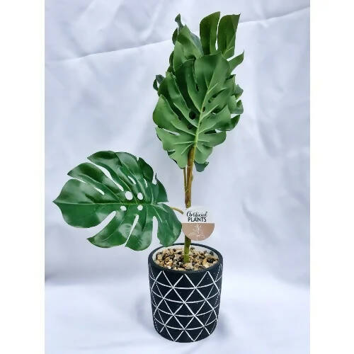 Farmhouse Artificial Plant - Fiddle Desert Plant - 7"x 4.5" HOG-Home Office Garden online marketplace.