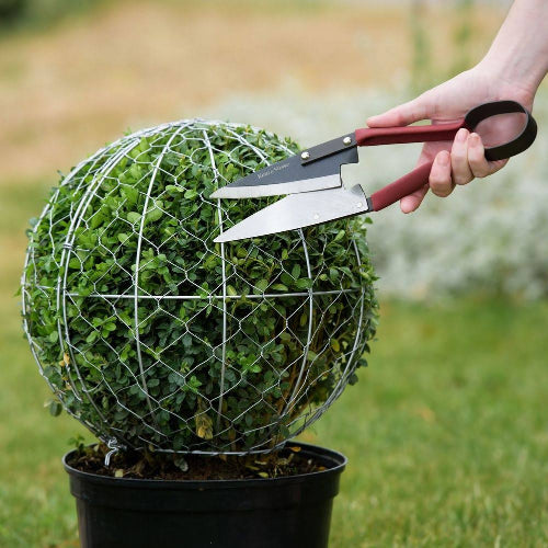 KS Small Topiary Shears @HOG - Home Office Garden Online Marketplace