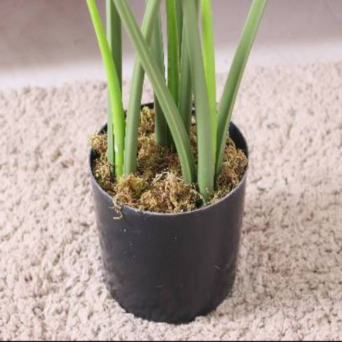 Monstera Artificial Mini Potted Plant | 60cm. @HOG - Home Office Garden Online Marketplace