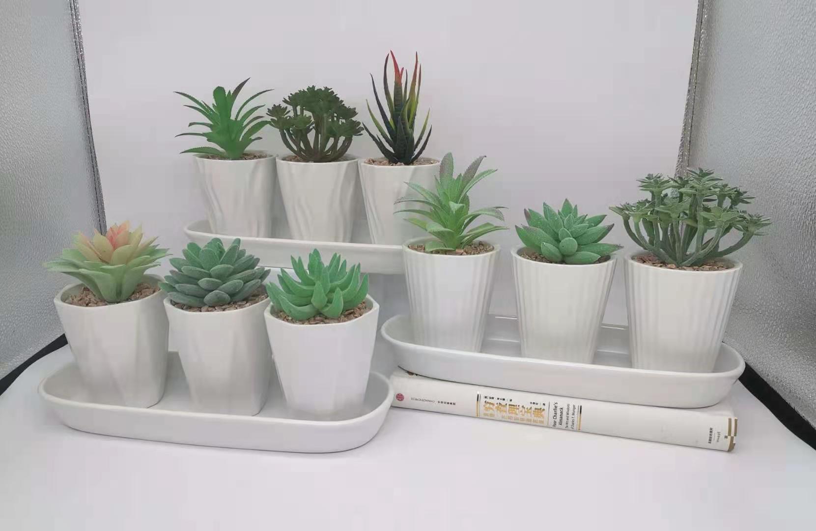 Artificial Succulent In Ceramic Pot 10cm Home Office Garden | HOG-HomeOfficeGarden | online marketplace