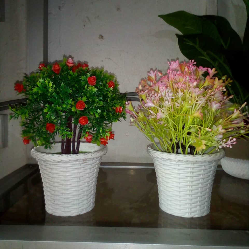Artificial Succulent In Plastic pot Home Office Garden | HOG-HomeOfficeGarden | online marketplace