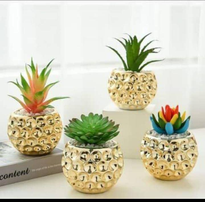 Set Of 4 Artificial Succulent In Pots | HOG-Home. Office. garden online marketplace