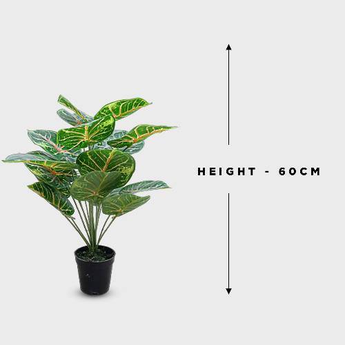 Artificial Quality Plant | 60cm Height Home Office Garden | HOG-HomeOfficeGarden | online marketplace
