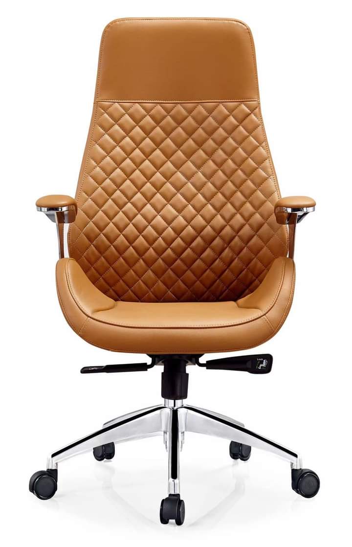 Reclining Ergonomic Swivel Chair Home Office Garden | HOG-HomeOfficeGarden | online marketplace