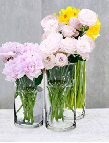 Cylinder glass vase(1Set) Home Office Garden | HOG-HomeOfficeGarden | online marketplace