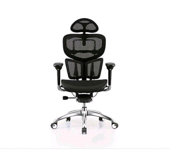 A7 Ergohuman Classic Comfort Mesh Chair Home Office Garden | HOG-HomeOfficeGarden | online marketplace