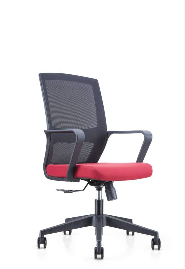 Executive Ergonomic Chair