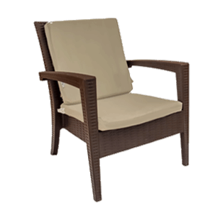 Mega Chair + Cushions