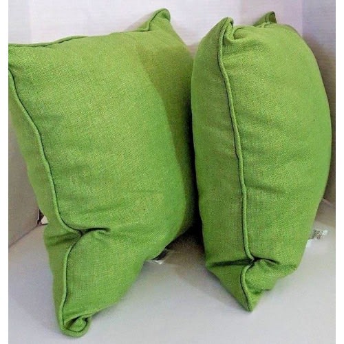 Solarium 2 Pack Pillow - 20 In X 20 In Green