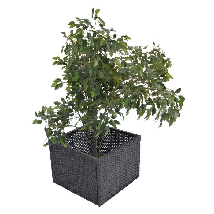 Straight Rattan Planter Box