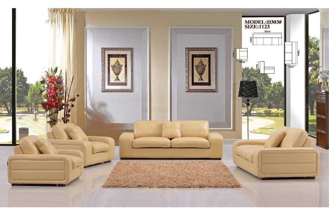 Zuchini Leather Sofa Set- D303