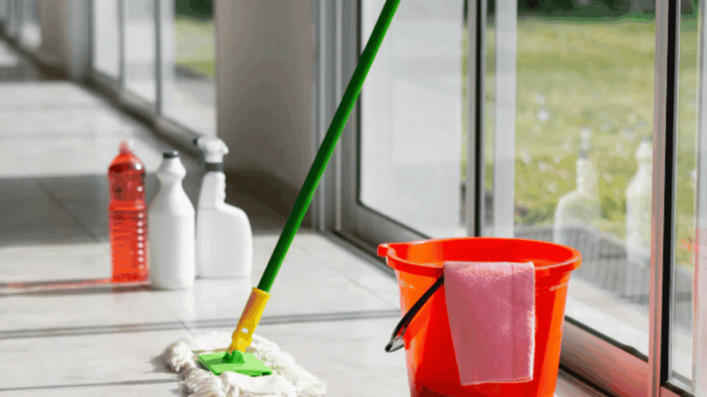 Clean and bright home windows showcasing interior and exterior window cleaning techniques with tools and streak-free glass finish.