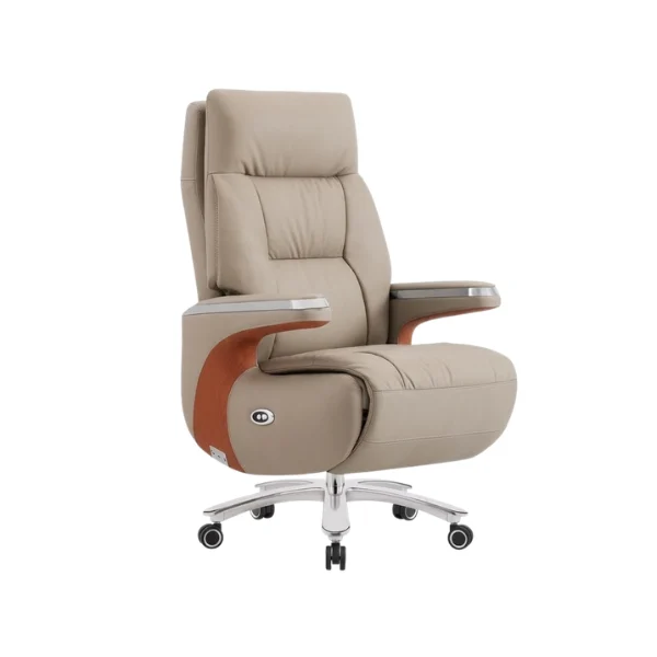 Rovar Electric Recliner Chair – main product view