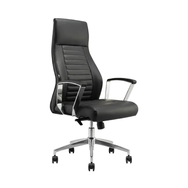 Ergonomic Leather High Back Chair – main product view