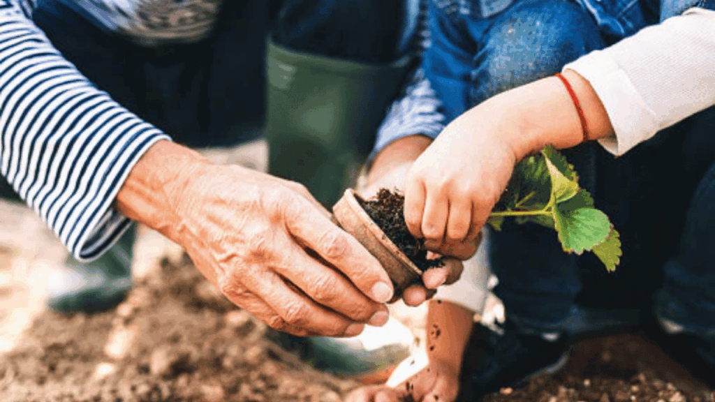 Children learning how to care for indoor plants by watering and nurturing them in a family-friendly home.
