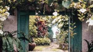 Vibrant garden with colorful plants and stylish outdoor décor
