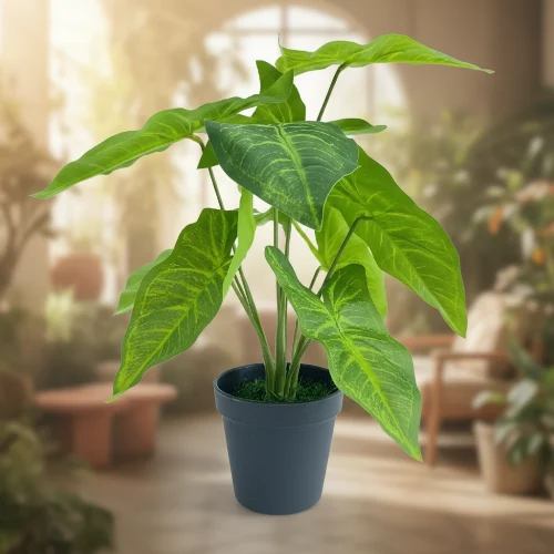 Angel Wing Table Plant 45cm – main product view