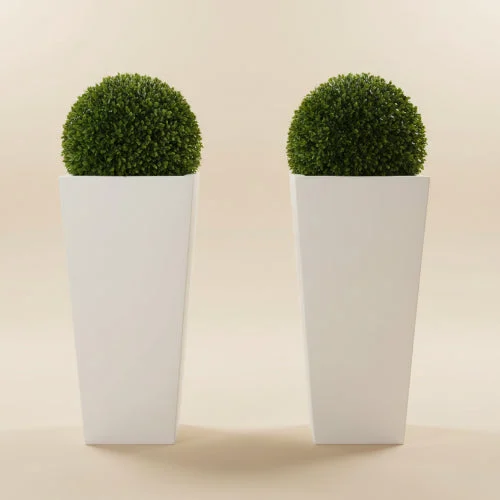 Ball Boxwood + Fiber Pot – main product view