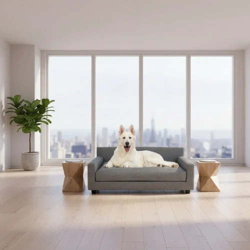 Dog Sofa Bed - front product view