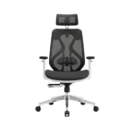 Ergonomic Office Mesh Chair - main product view