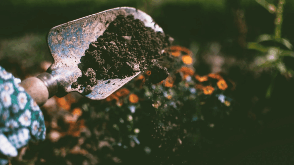 Recycling animal and human dung for sustainable waste management and agriculture