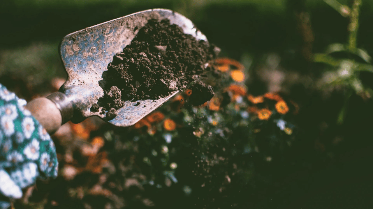Recycling animal and human dung for sustainable waste management and agriculture