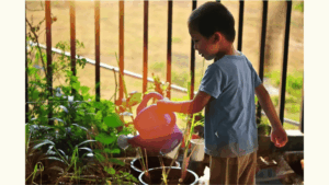 Guide to starting a school garden with raised beds, plants, gardening tools, and a learning-friendly outdoor space for students.