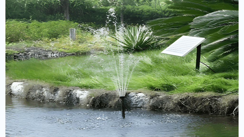 Five types of pond pumps commonly used for water circulation, filtration, fountains, and maintaining healthy pond environments.