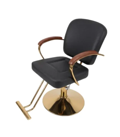 Regal Luxe Hydraulic Salon Chair