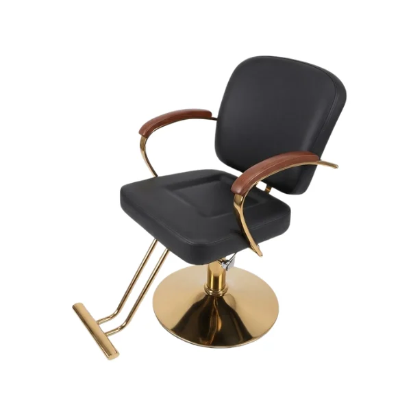 Regal Luxe Hydraulic Salon Chair